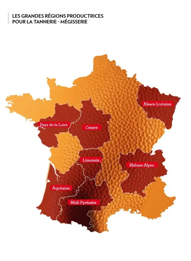 Carte de France des grandes régions où sont implantées mégisseries et tanneries 