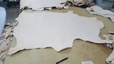 Raw basane leather hide