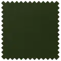 vert anglais