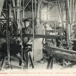 Atelier de tannerie à Mazamet au XIXe siècle : ouvriers travaillant la basane, photo ancienne